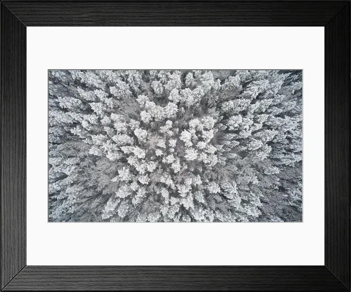 Framed Print : Thick winterr forest background. Abov etop view on white snow nature Framed Print : Thick winterr forest background. Abov etop view on white snow nature