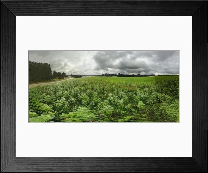 Framed Print : Panorama landscape from the air in the Bavarian Danube area with cloudy summer sky Framed Print : Panorama landscape from the air in the Bavarian Danube area with cloudy summer sky