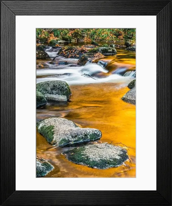 Framed Print : The Amber River or The Golden River, River Dart in Autumn Colours, Dartmoor Park, Devon, England, Europe Framed Print : The Amber River or The Golden River, River Dart in Autumn Colours, Dartmoor Park, Devon, England, Europe