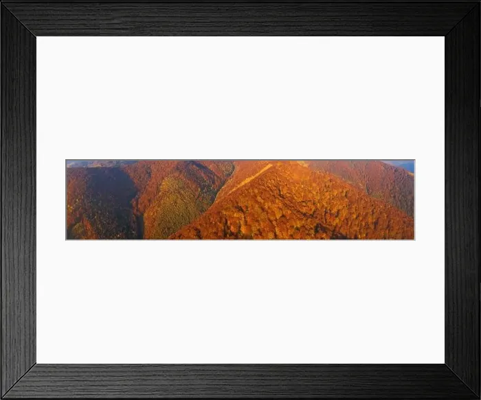 Framed Print : Alpine autumn deciduous forest above clouds Drone view Framed Print : Alpine autumn deciduous forest above clouds Drone view