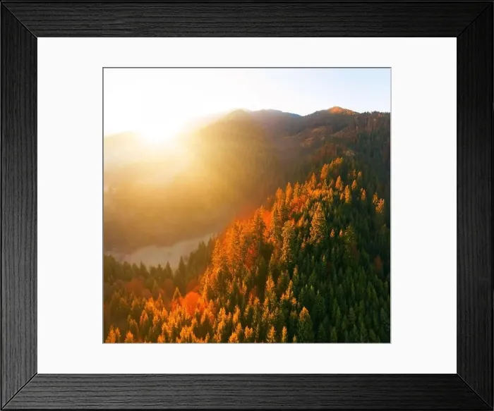 Framed Print : Alpine autumn deciduous forest above clouds Drone view