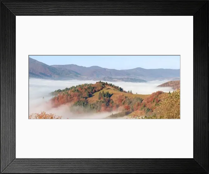 Framed Print : Alpine autumn deciduous forest above clouds Drone view