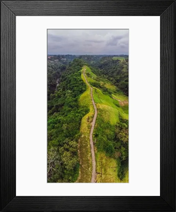 Framed Print : Aerial picture of Campuhan Ridge Walk, Scenic Green Valley in Ubud Bali. Photo from the drone Framed Print : Aerial picture of Campuhan Ridge Walk, Scenic Green Valley in Ubud Bali. Photo from the drone