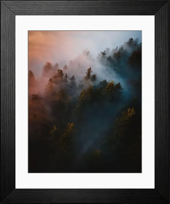 Framed Print : Fog and mist over forest in austria Framed Print : Fog and mist over forest in austria