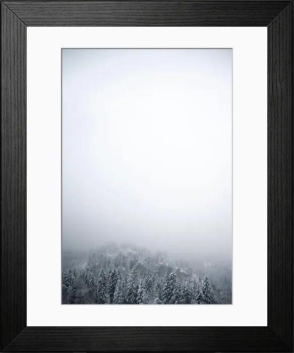Framed Print : vertical background with snow covered forest trees with foggy gradient in white upwards