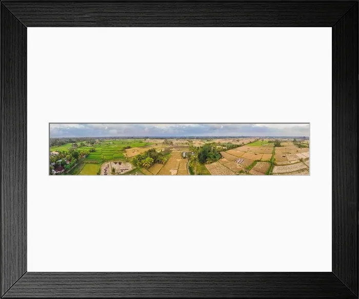 Framed Print : Aerial top view photo from flying drone of green rice fields in countryside Land with grown plants of paddy Framed Print : Aerial top view photo from flying drone of green rice fields in countryside Land with grown plants of paddy