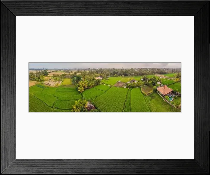 Framed Print : Aerial top view photo from flying drone of green rice fields in countryside Land with grown plants of paddy Framed Print : Aerial top view photo from flying drone of green rice fields in countryside Land with grown plants of paddy