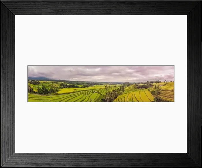 Framed Print : Aerial top view photo from flying drone of green rice fields in countryside Land with grown plants of paddy Framed Print : Aerial top view photo from flying drone of green rice fields in countryside Land with grown plants of paddy