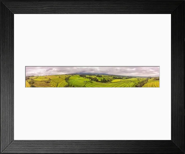 Framed Print : Aerial top view photo from flying drone of green rice fields in countryside Land with grown plants of paddy Framed Print : Aerial top view photo from flying drone of green rice fields in countryside Land with grown plants of paddy