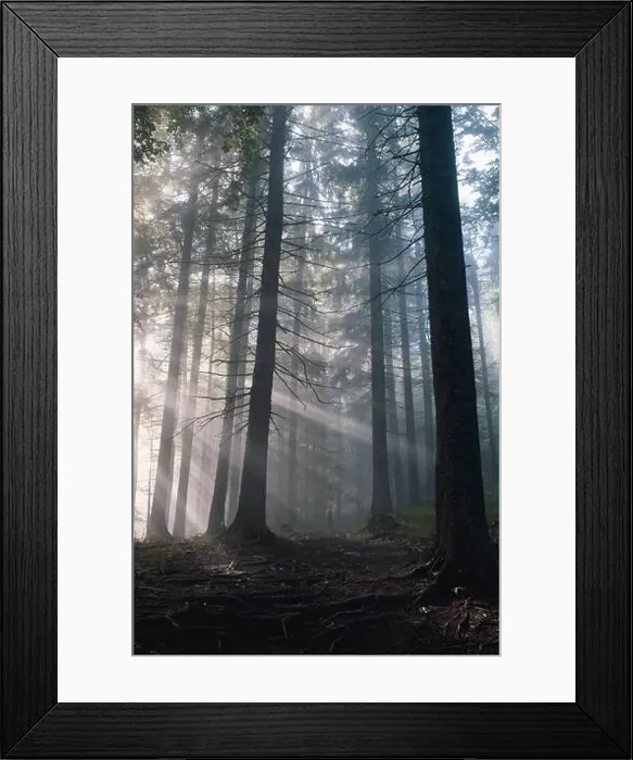 Framed Print : Autumn foggy forest growing on hills. Travel autumn scenic road. Halloween holiday celebration background Framed Print : Autumn foggy forest growing on hills. Travel autumn scenic road. Halloween holiday celebration background