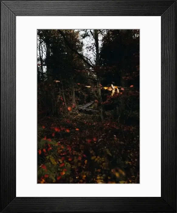 Framed Print : A walk on the most beautiful lake from northumberland Framed Print : A walk on the most beautiful lake from northumberland