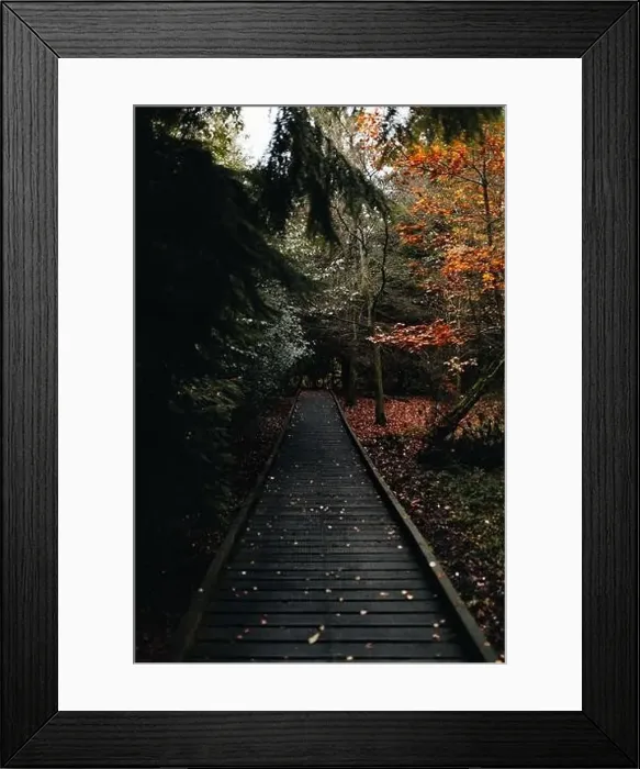 Framed Print : A walk on the most beautiful lake from northumberland Framed Print : A walk on the most beautiful lake from northumberland
