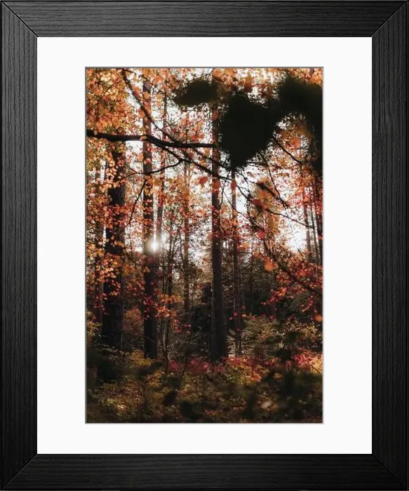 Framed Print : A walk on the most beautiful lake from northumberland Framed Print : A walk on the most beautiful lake from northumberland
