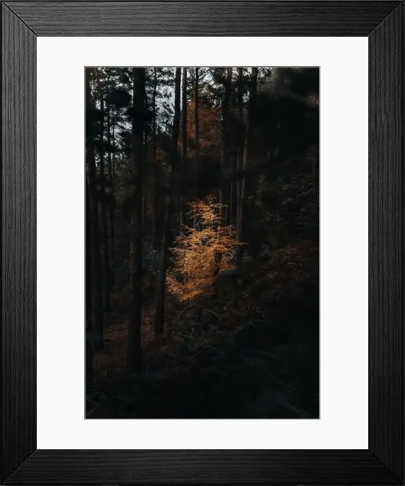 Framed Print : A walk on the most beautiful lake from northumberland Framed Print : A walk on the most beautiful lake from northumberland
