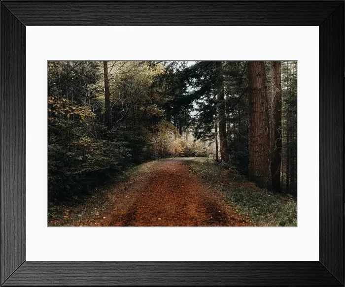 Framed Print : A walk on the most beautiful lake from northumberland Framed Print : A walk on the most beautiful lake from northumberland