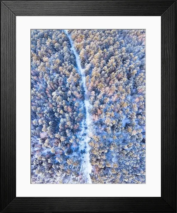 Framed Print : Winter snow covered forest trail view from above. Winding road through snowy cold wood. Cold winter day Framed Print : Winter snow covered forest trail view from above. Winding road through snowy cold wood. Cold winter day