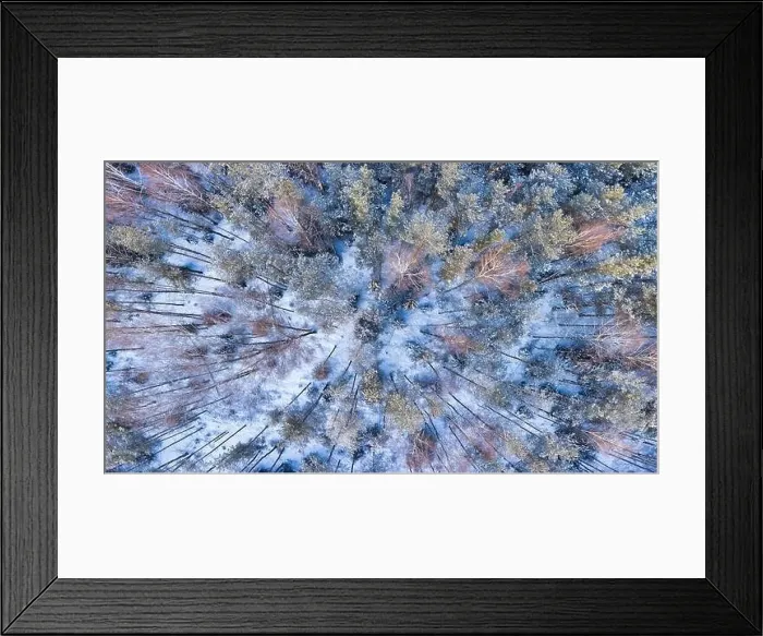 Framed Print : Cold winter snowy forest aerial panorama. Snow covered trees shot from above. Cold winter day Framed Print : Cold winter snowy forest aerial panorama. Snow covered trees shot from above. Cold winter day