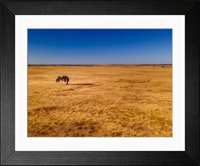 Framed Print : Aerial farmland fields countryside landscape in Alentejo, tourism destination region, Portugal Framed Print : Aerial farmland fields countryside landscape in Alentejo, tourism destination region, Portugal