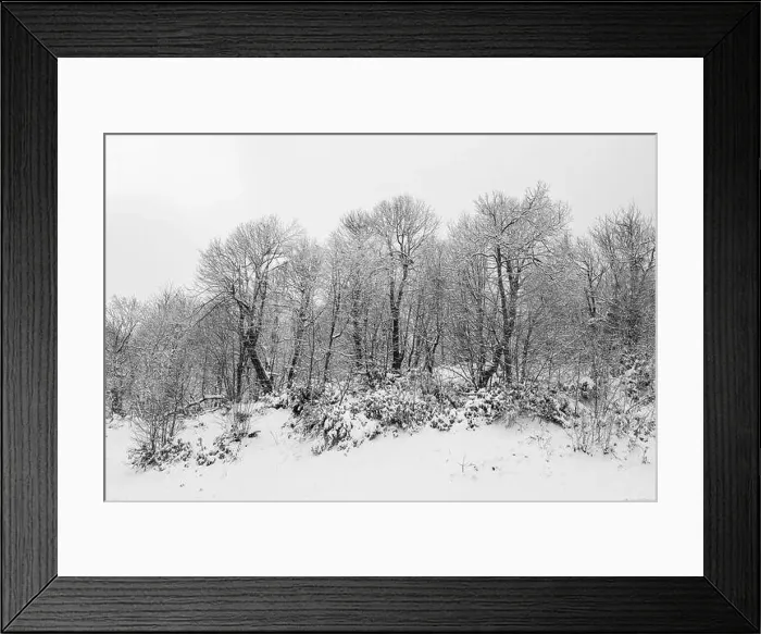 Framed Print : KARTEPE, KOCAELI, TURKEY. Beautiful winter landscape. Winter snowy forest Framed Print : KARTEPE, KOCAELI, TURKEY. Beautiful winter landscape. Winter snowy forest