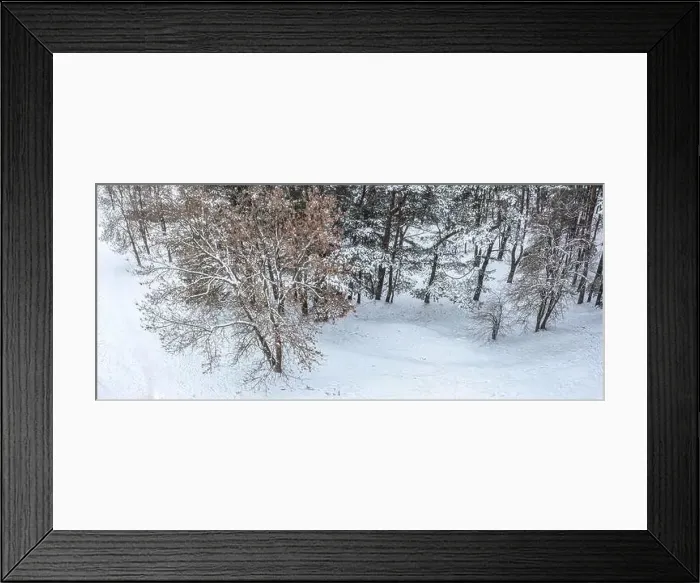Framed Print : winter forest with frosty trees. drone shot of snow-covered trees. winter panoramic landscape. aerial view Framed Print : winter forest with frosty trees. drone shot of snow-covered trees. winter panoramic landscape. aerial view