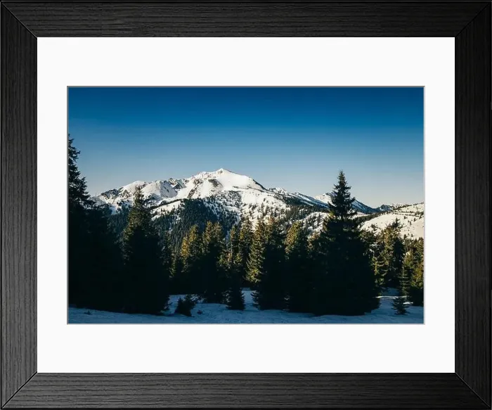 Framed Print : Winter mountains in the snow, coniferous forest, spring, snowy meadow Framed Print : Winter mountains in the snow, coniferous forest, spring, snowy meadow