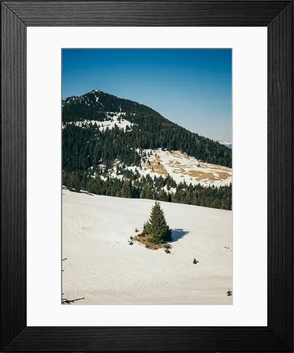 Framed Print : Snowy road in the mountains, coniferous forest, spring Framed Print : Snowy road in the mountains, coniferous forest, spring