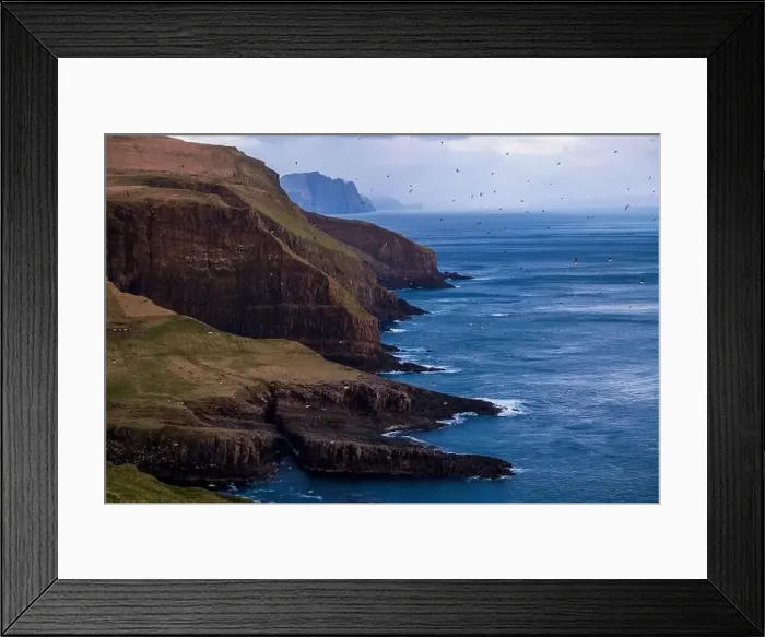 Framed Print : Hundreds of puffins swarm the skies over the seas, cliffs and moss green hilltops Framed Print : Hundreds of puffins swarm the skies over the seas, cliffs and moss green hilltops