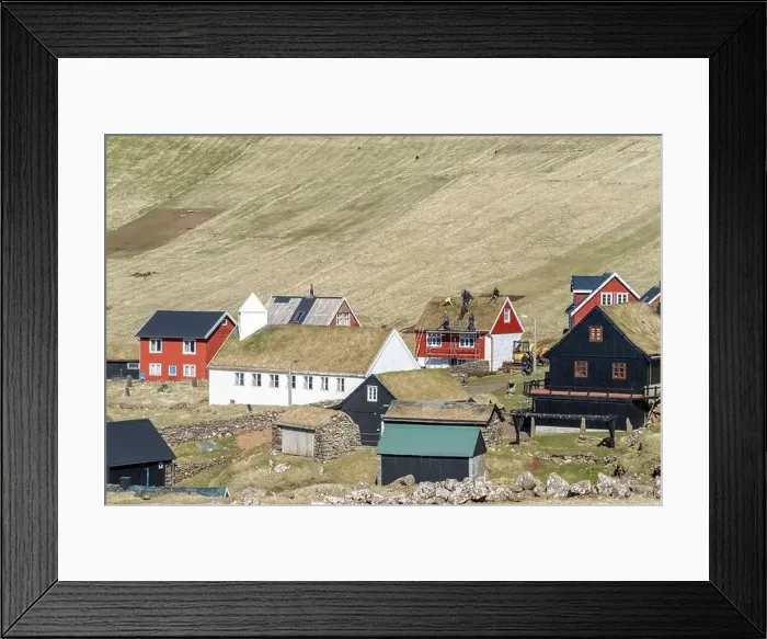Framed Print : The roofers being lazy on a sunny day in Mykines Framed Print : The roofers being lazy on a sunny day in Mykines