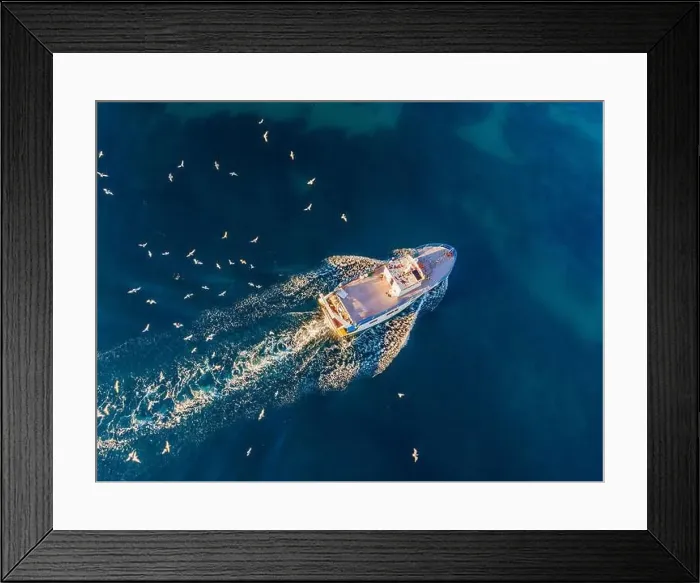 Framed Print : professional fisherboat with many seagulls come back in the harbor. Aerial view, drone Framed Print : professional fisherboat with many seagulls come back in the harbor. Aerial view, drone