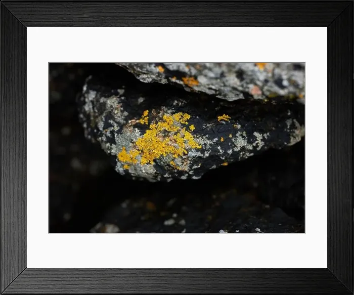 Framed Print : amazing rocks by the shore in danish island Framed Print : amazing rocks by the shore in danish island