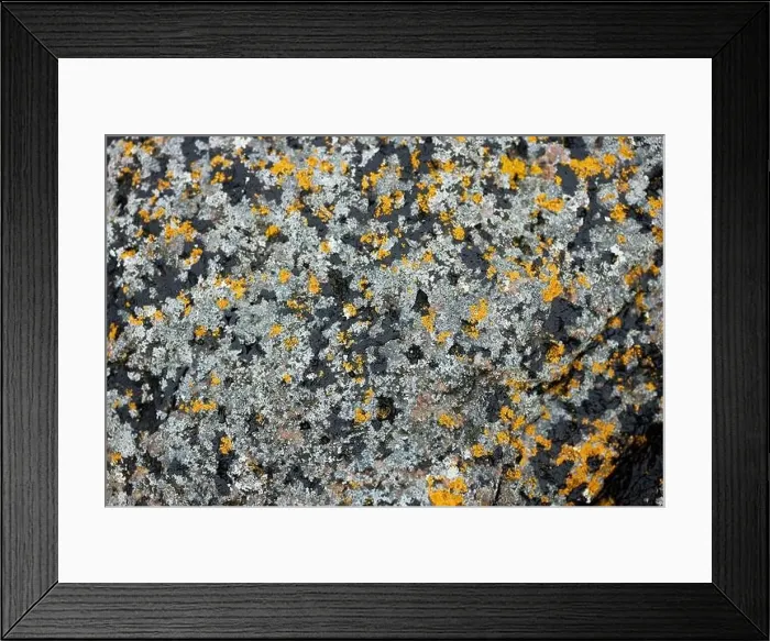 Framed Print : amazing rocks by the shore in danish island Framed Print : amazing rocks by the shore in danish island