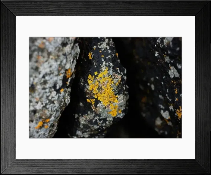 Framed Print : amazing rocks by the shore in danish island Framed Print : amazing rocks by the shore in danish island