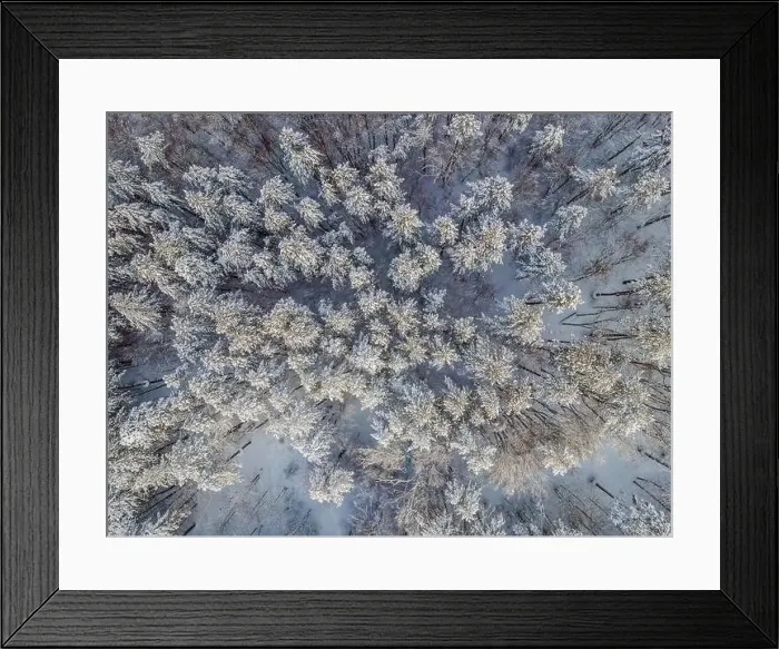 Framed Print : Aerial view of a winter snow-covered pine forest