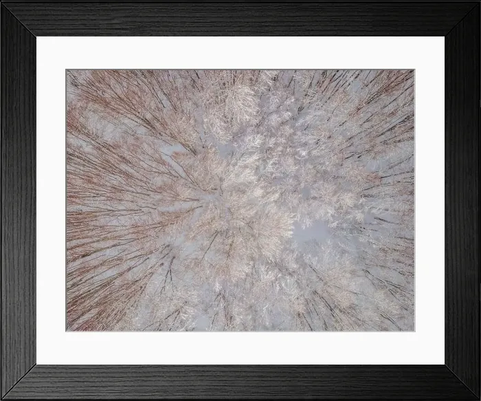Framed Print : Aerial view of a winter snow-covered pine forest. Aerial drone view of a winter landscape. Snow covered forest Framed Print : Aerial view of a winter snow-covered pine forest. Aerial drone view of a winter landscape. Snow covered forest