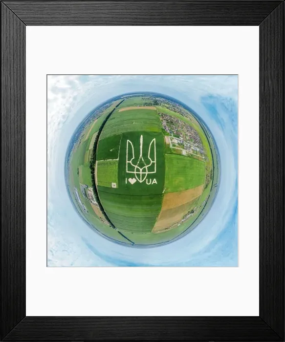 Framed Print : Giant symbol of the country of Ukraine is a trident created by corn sprouts in a corn field Framed Print : Giant symbol of the country of Ukraine is a trident created by corn sprouts in a corn field