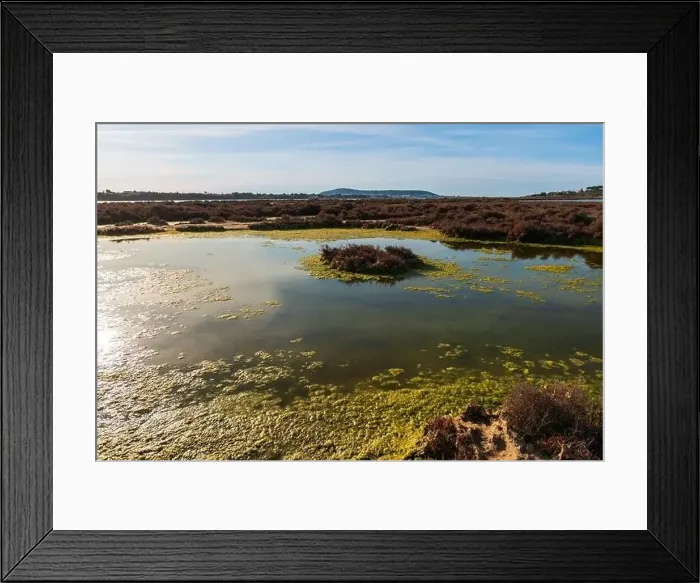 Framed Print : Marsh near the Etang de Thau, in winter, between Poussan and Balaruc, in Occitanie, France Framed Print : Marsh near the Etang de Thau, in winter, between Poussan and Balaruc, in Occitanie, France