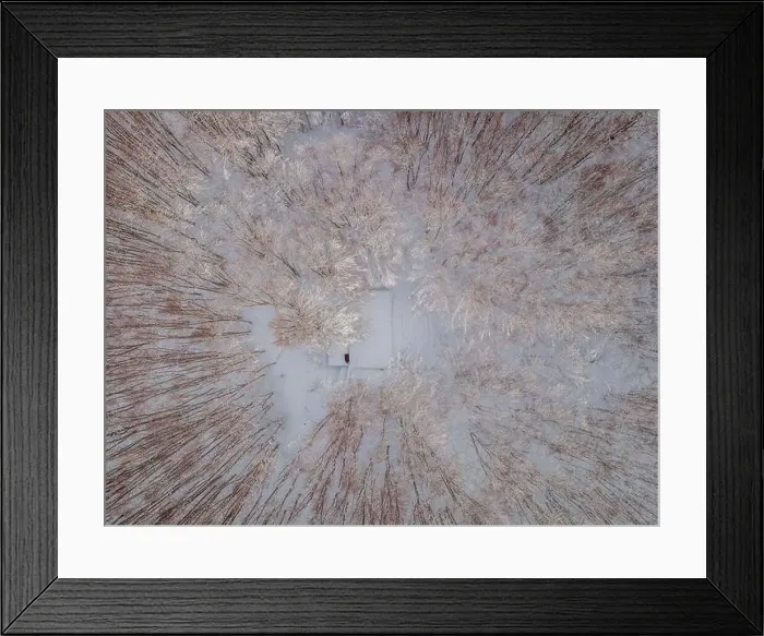 Framed Print : Aerial view of a winter snow-covered pine forest. Aerial drone view of a winter landscape. Snow covered forest Framed Print : Aerial view of a winter snow-covered pine forest. Aerial drone view of a winter landscape. Snow covered forest