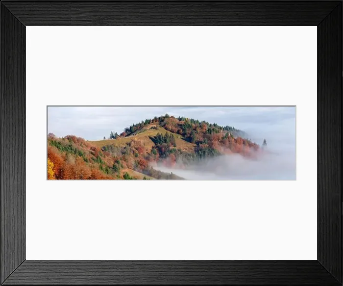 Framed Print : Alpine autumn deciduous forest above clouds Drone view Framed Print : Alpine autumn deciduous forest above clouds Drone view