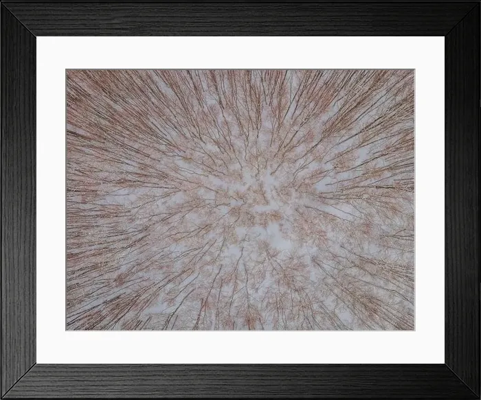Framed Print : Aerial view of a winter snow-covered pine forest. Aerial drone view of a winter landscape. Snow covered forest Framed Print : Aerial view of a winter snow-covered pine forest. Aerial drone view of a winter landscape. Snow covered forest