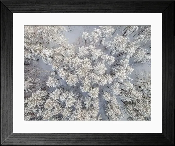 Framed Print : Aerial view of a winter snow-covered pine forest. Aerial drone view of a winter landscape. Snow covered forest Framed Print : Aerial view of a winter snow-covered pine forest. Aerial drone view of a winter landscape. Snow covered forest