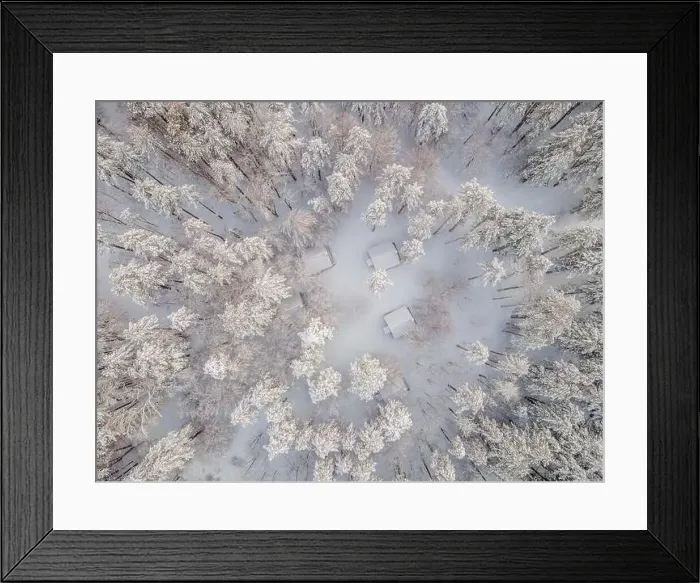 Framed Print : Aerial view of a winter snow-covered pine forest. Aerial drone view of a winter landscape. Snow covered forest Framed Print : Aerial view of a winter snow-covered pine forest. Aerial drone view of a winter landscape. Snow covered forest