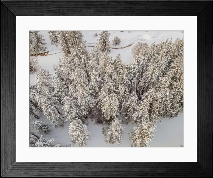 Framed Print : Aerial view of a winter snow-covered pine forest. Aerial drone view of a winter landscape. Snow covered forest Framed Print : Aerial view of a winter snow-covered pine forest. Aerial drone view of a winter landscape. Snow covered forest