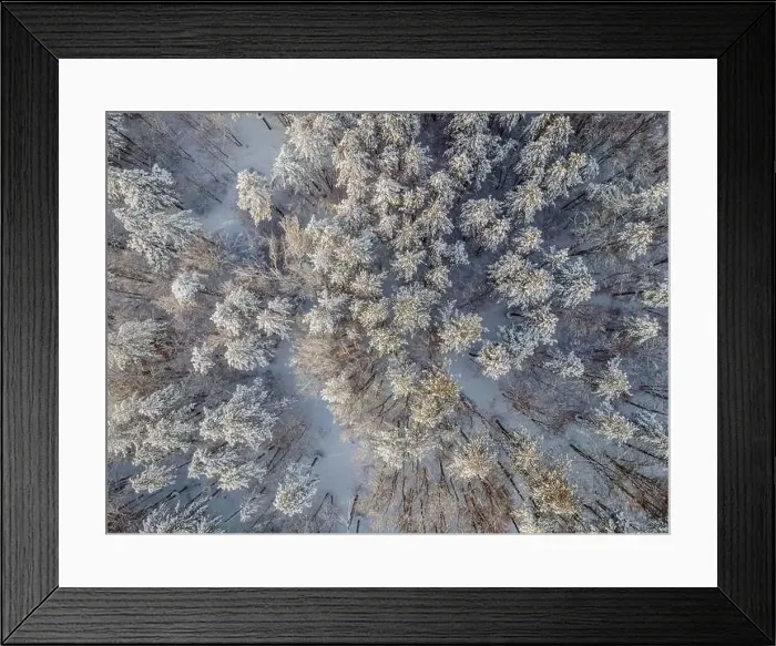 Framed Print : Aerial view of a winter snow-covered pine forest. Aerial drone view of a winter landscape. Snow covered forest Framed Print : Aerial view of a winter snow-covered pine forest. Aerial drone view of a winter landscape. Snow covered forest