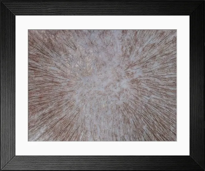 Framed Print : Aerial view of a winter snow-covered pine forest. Aerial drone view of a winter landscape. Snow covered forest Framed Print : Aerial view of a winter snow-covered pine forest. Aerial drone view of a winter landscape. Snow covered forest