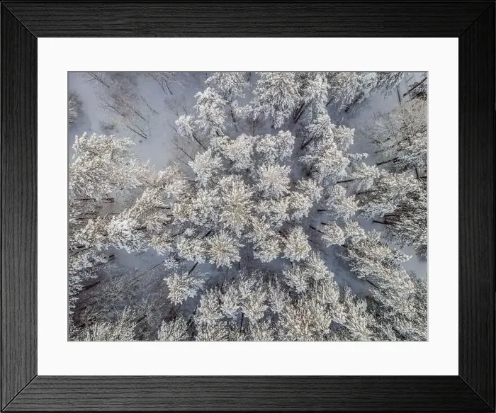 Framed Print : Aerial view of a winter snow-covered pine forest. Aerial drone view of a winter landscape. Snow covered forest Framed Print : Aerial view of a winter snow-covered pine forest. Aerial drone view of a winter landscape. Snow covered forest