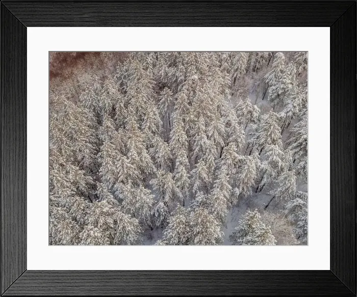 Framed Print : Aerial view of a winter snow-covered pine forest. Aerial drone view of a winter landscape. Snow covered forest Framed Print : Aerial view of a winter snow-covered pine forest. Aerial drone view of a winter landscape. Snow covered forest
