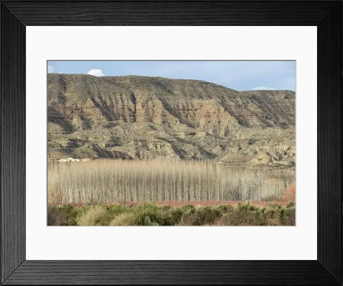 Framed Print : View at woods and hills near Guadix in Spain Framed Print : View at woods and hills near Guadix in Spain
