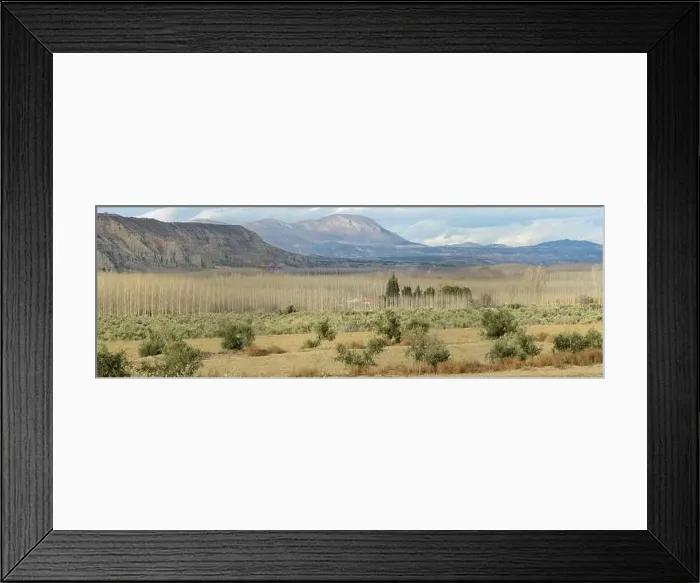 Framed Print : View at woods and hills near Guadix in Spain Framed Print : View at woods and hills near Guadix in Spain