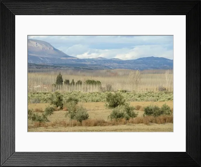Framed Print : View at woods and hills near Guadix in Spain Framed Print : View at woods and hills near Guadix in Spain