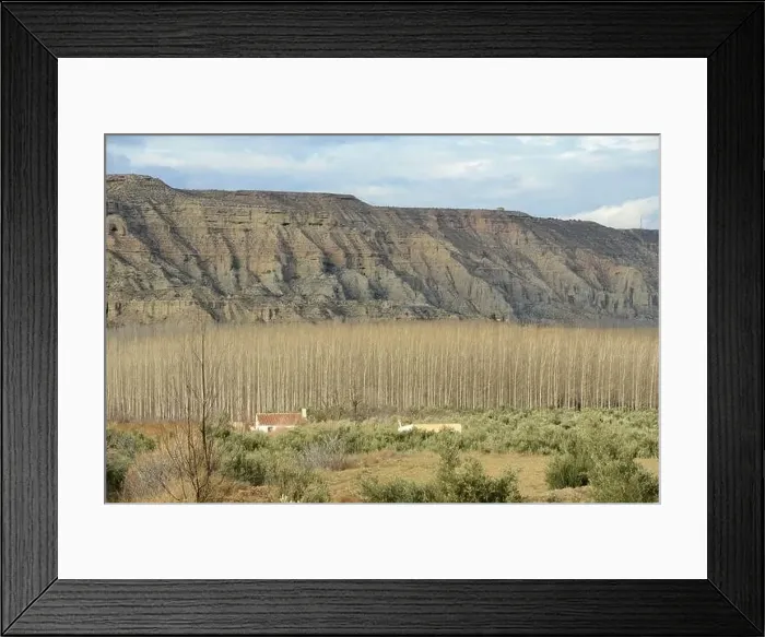 Framed Print : View at woods and hills near Guadix in Spain Framed Print : View at woods and hills near Guadix in Spain